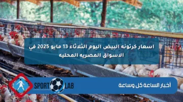 أسعار كرتونة البيض اليوم الثلاثاء 13 مايو 2025 في الأسواق المصرية المحلية